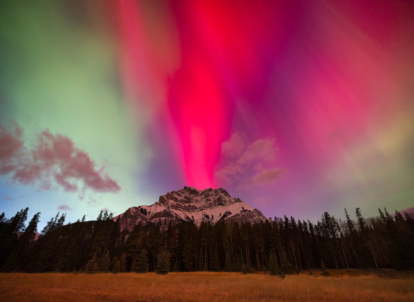 Incandescence