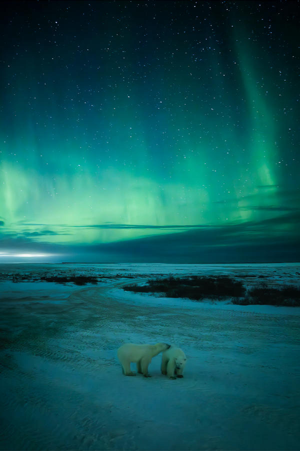 Polar Bond