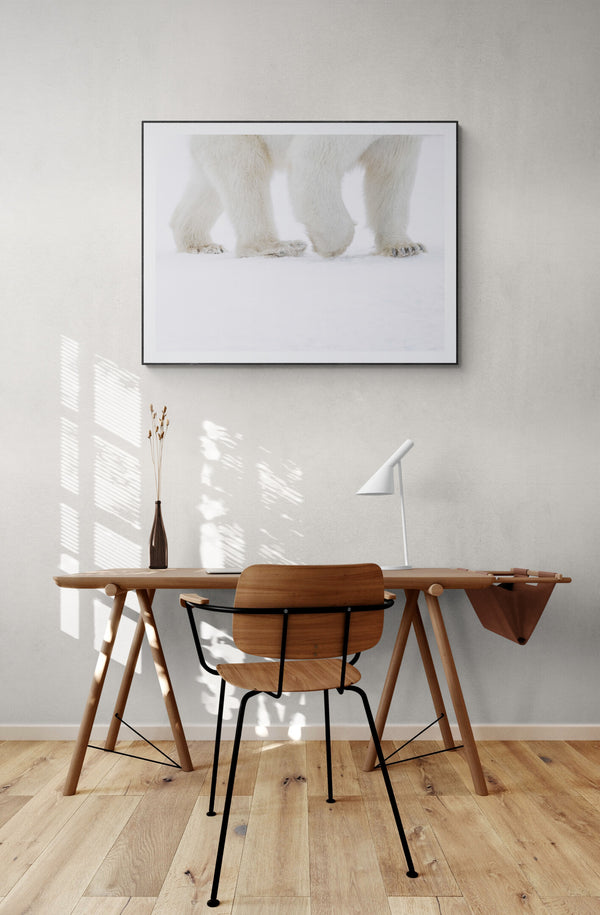 Polar Stroll