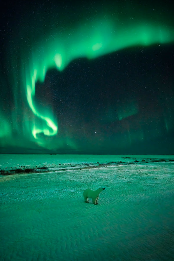 Subarctic Sendoff