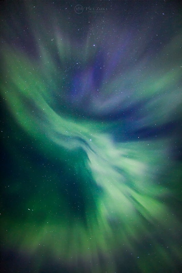 Boreal Dance