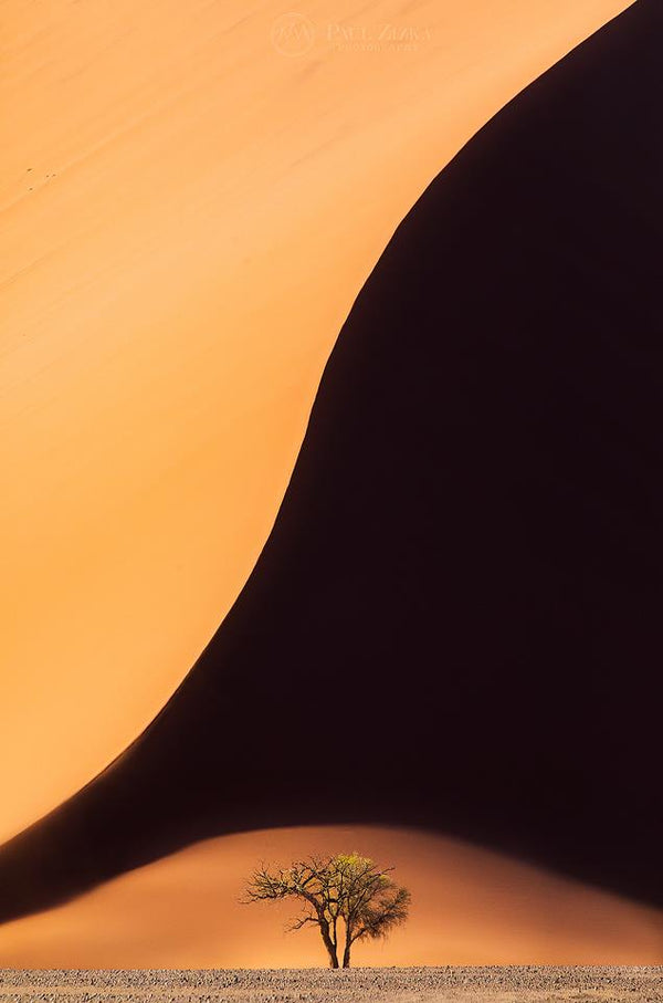 Namibian Curves