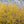 Wallpaper - Change of Seasons