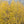 Wallpaper - Change of Seasons