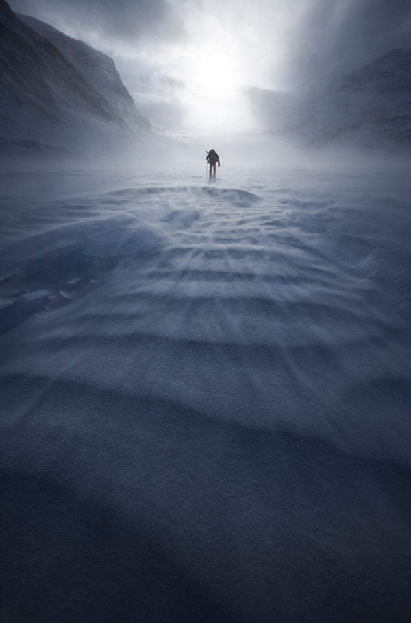 Cold Rush