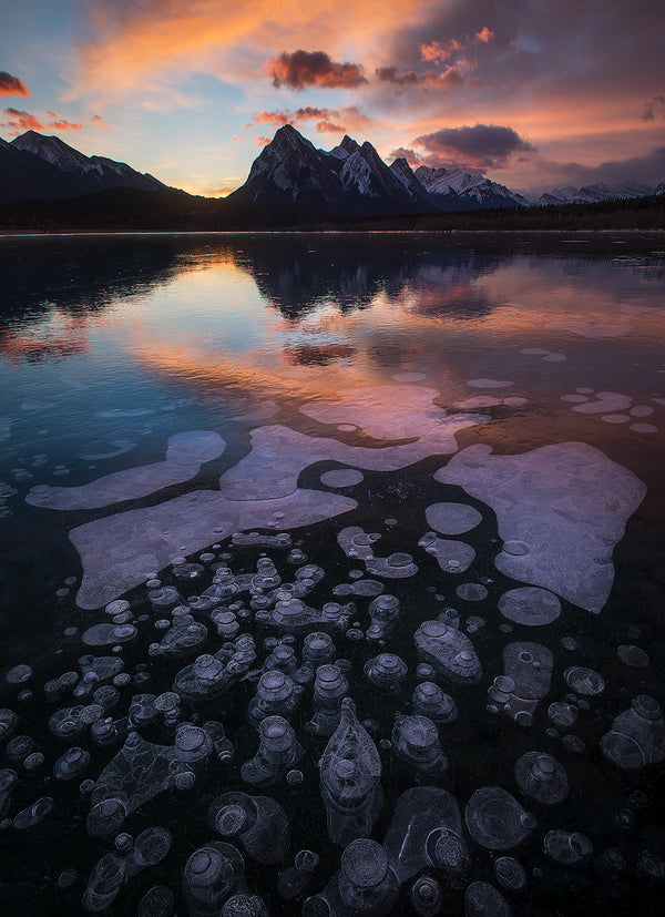 Wild Bubbles