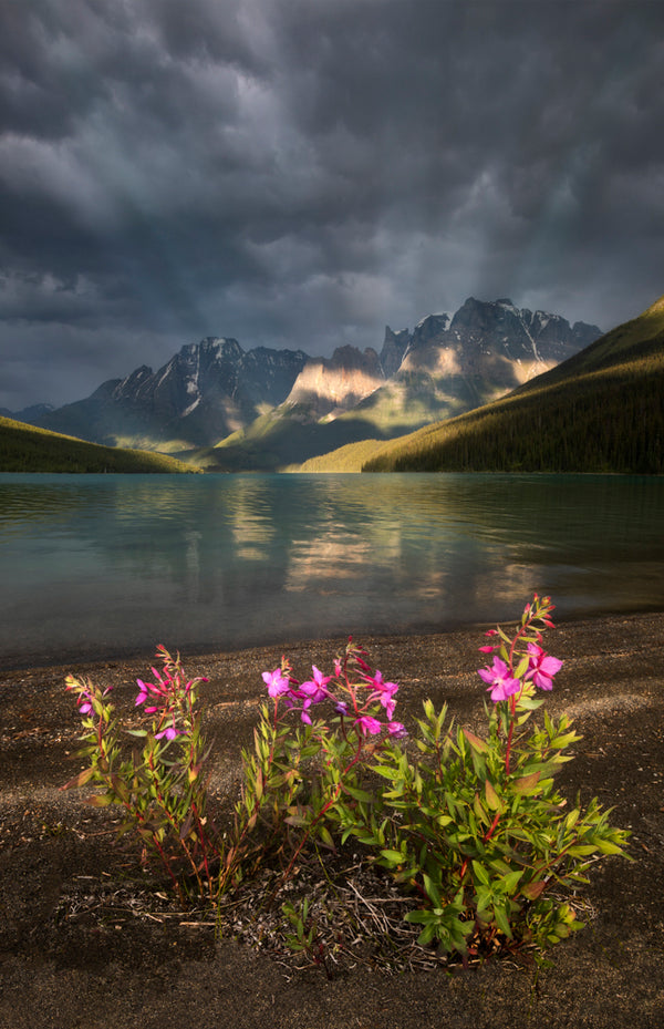 Mountain Light