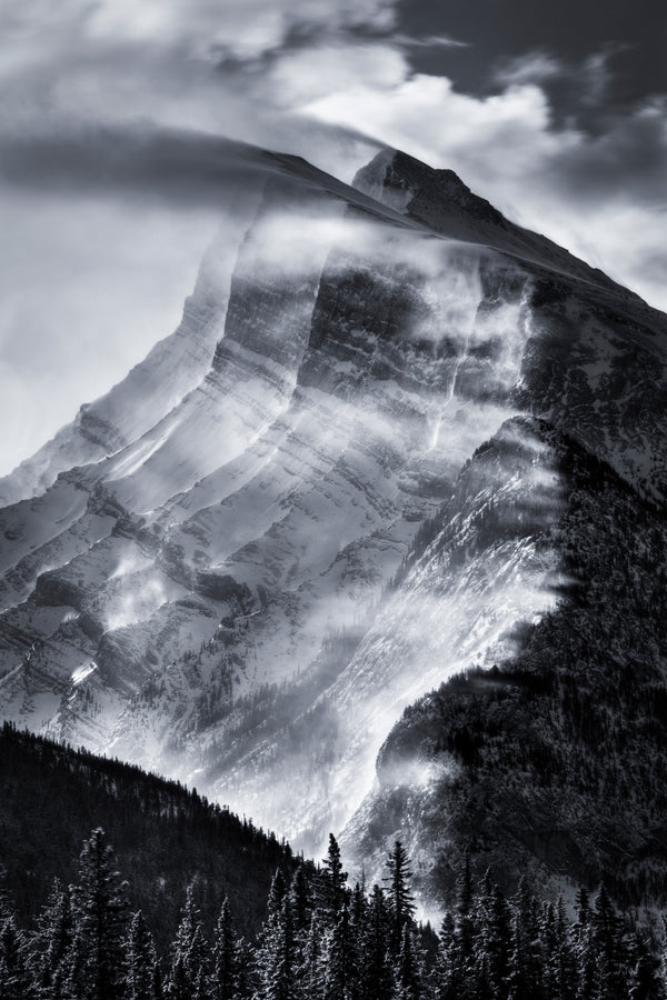 The Rundle Show