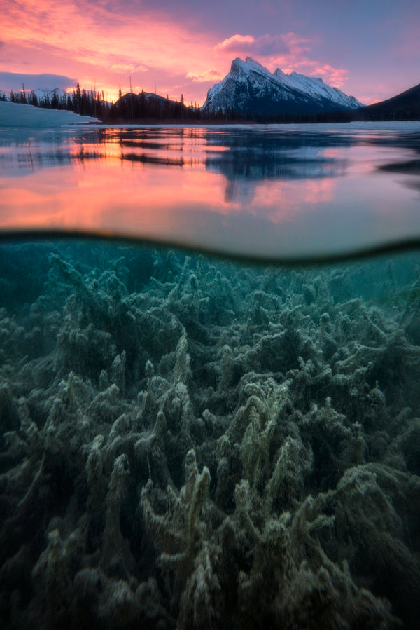 Morning Reflection