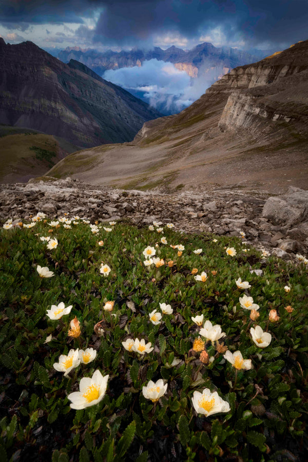 Waking Rundle