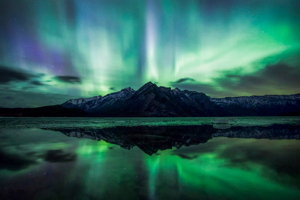 Celestial Symmetry